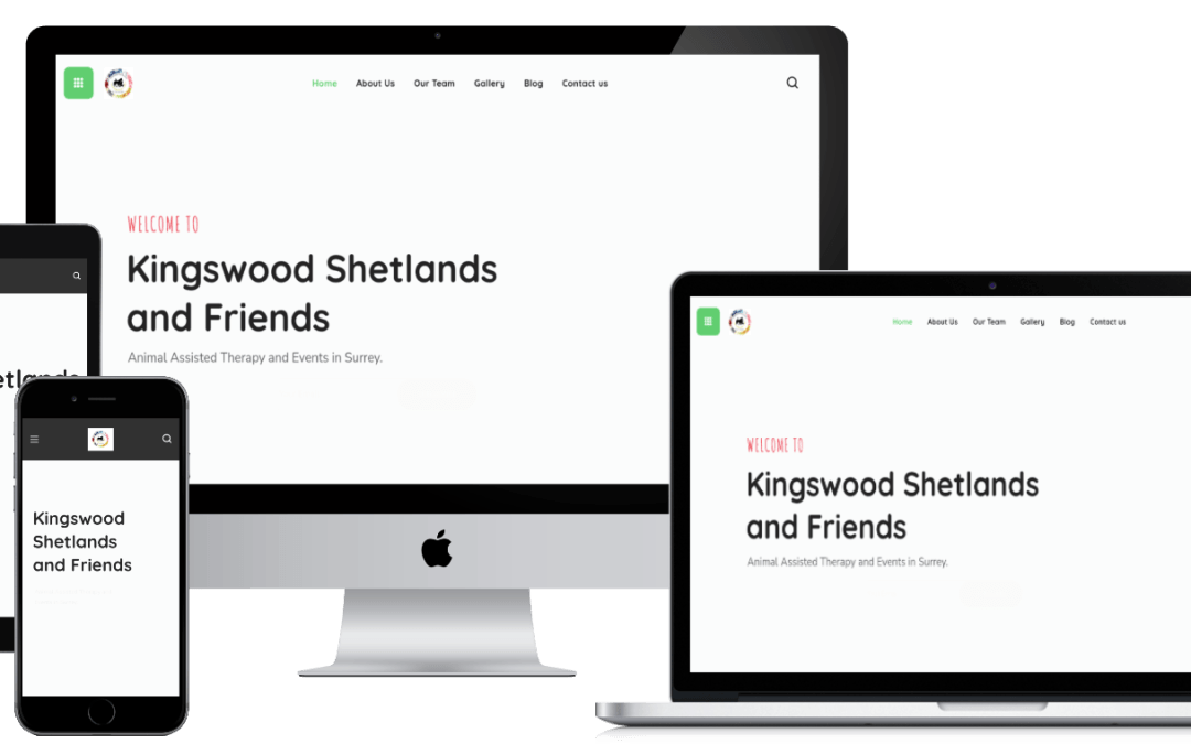Kingswood Shetlands